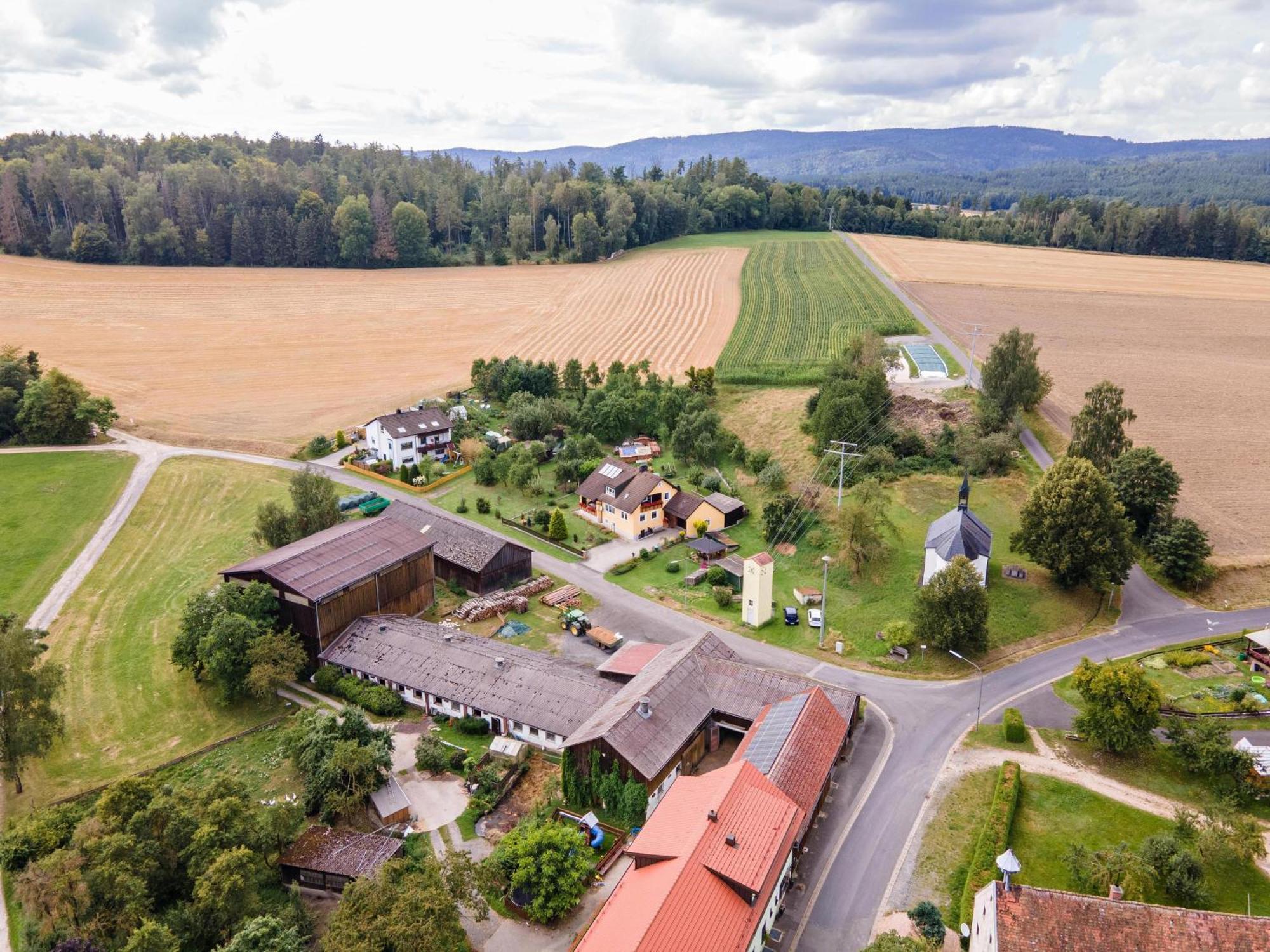 Ferienwohnung Baecher Wiesau 外观 照片