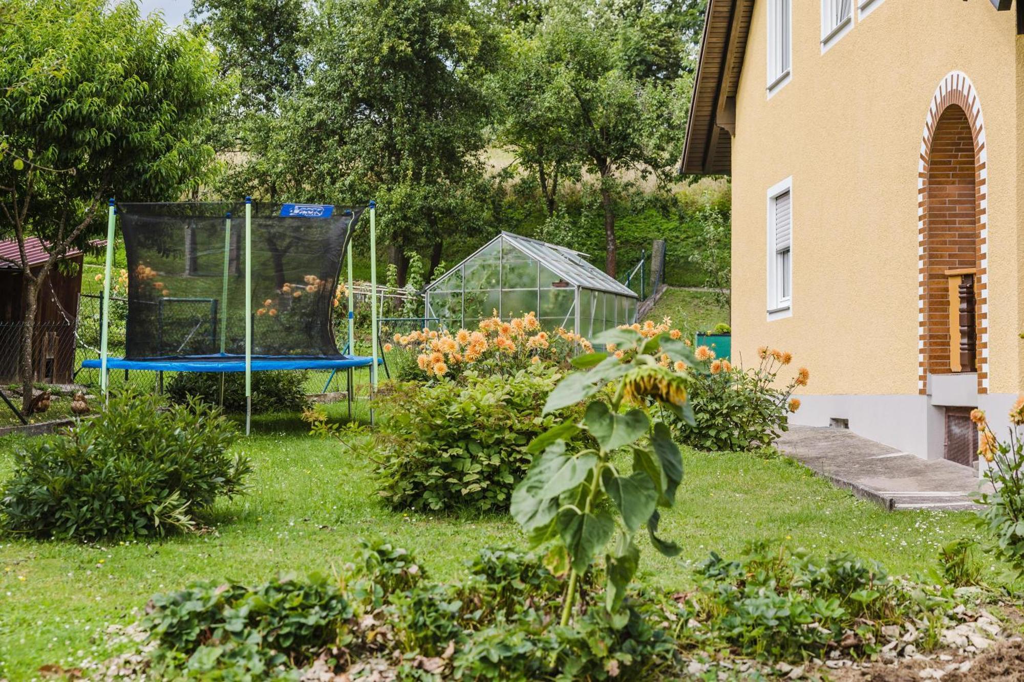 Ferienwohnung Baecher Wiesau 外观 照片